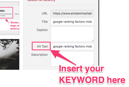 google ranking factors alt text